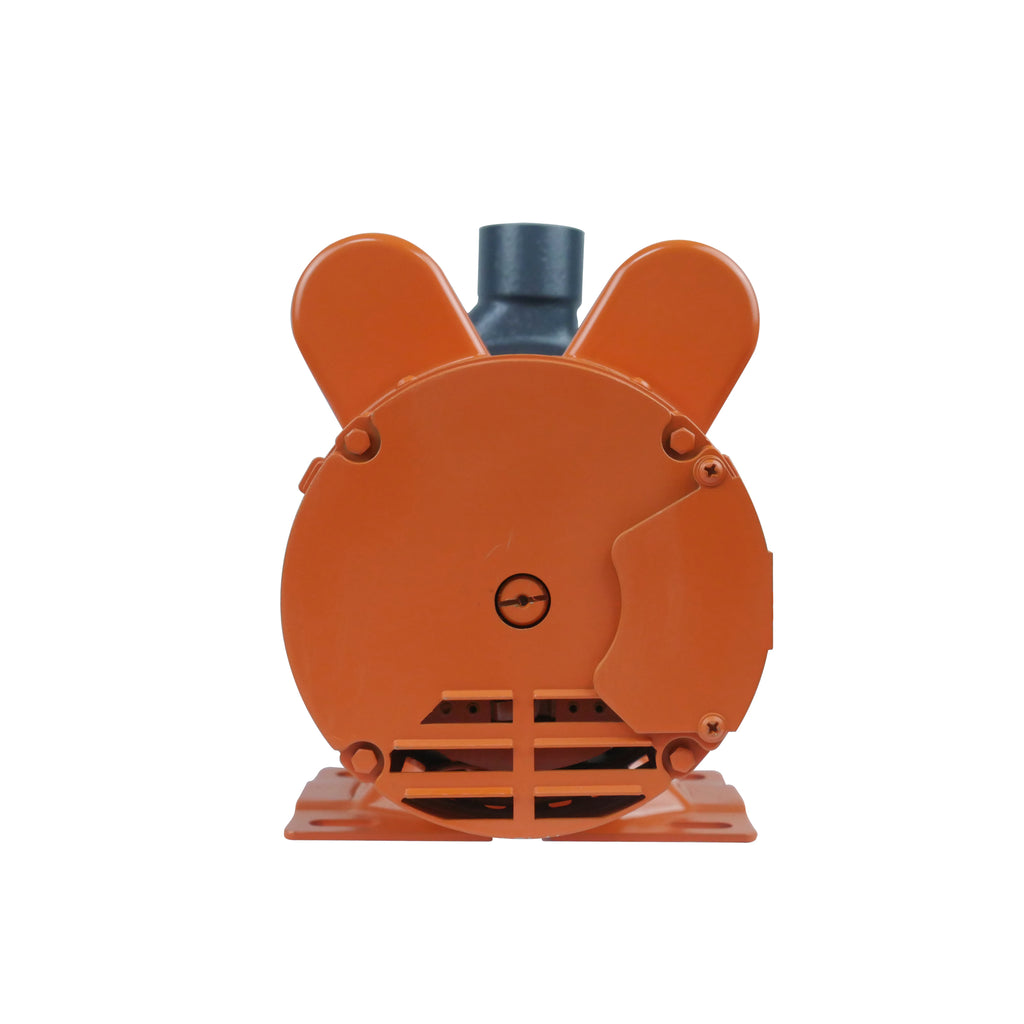 ELECTROBOMBA BERGEN BE1C ELÉCTRICA 1 HP C/CREK